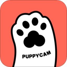 PuppyCam客戶端下載 PuppyCam智能寵物喂食器v1.0.9安卓版體驗指南