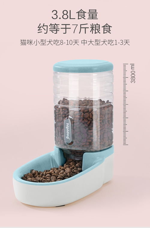 寵物智能喂養器 讓愛寵的飲食與飲水更科學、便捷