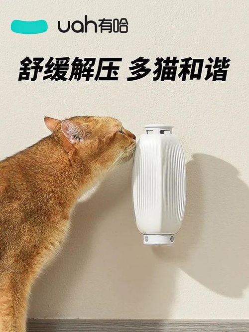 當智能化養寵成為主流 胖鯨在現場體驗寵物智能喂養器